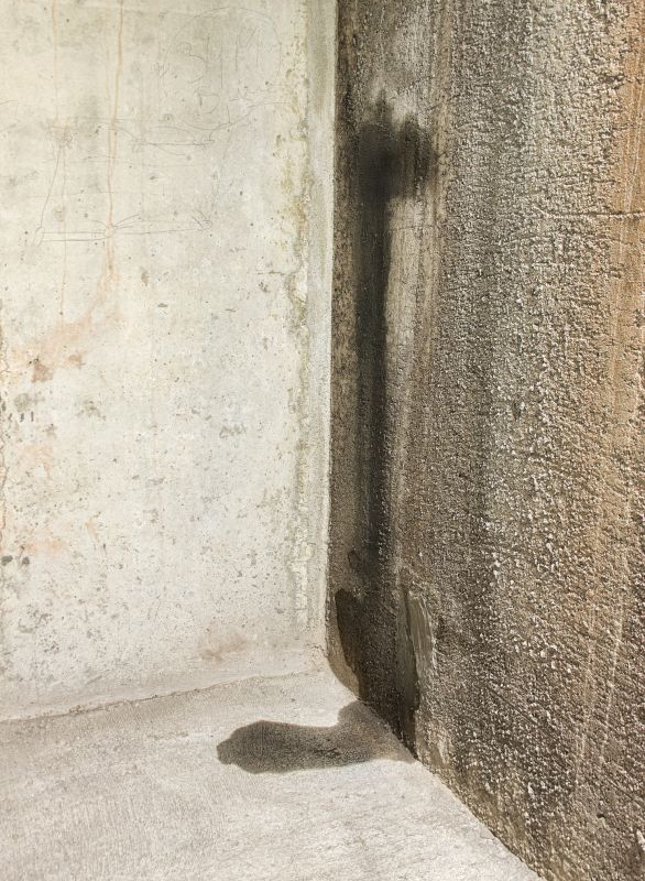Foundation Leak Repair in Fort Wayne, IN