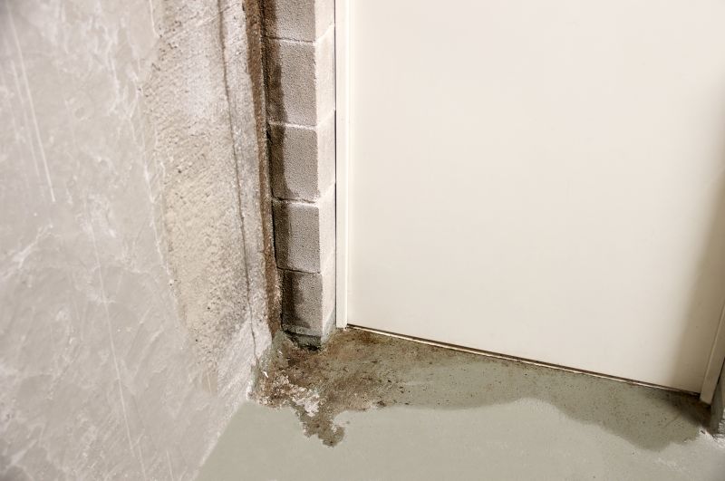 Basement Leak Repair in Fort Collins, CO