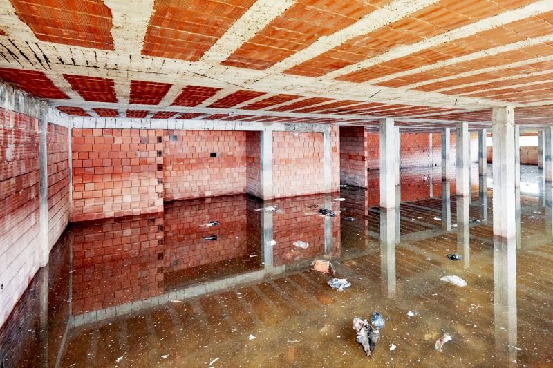 Flooded Basement Cleanup in Chandler, AZ