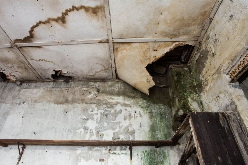 Water Damage Repair in Chandler, AZ
