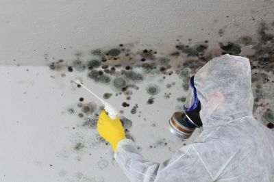 Prevent Mold Growth!
